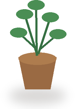 plant